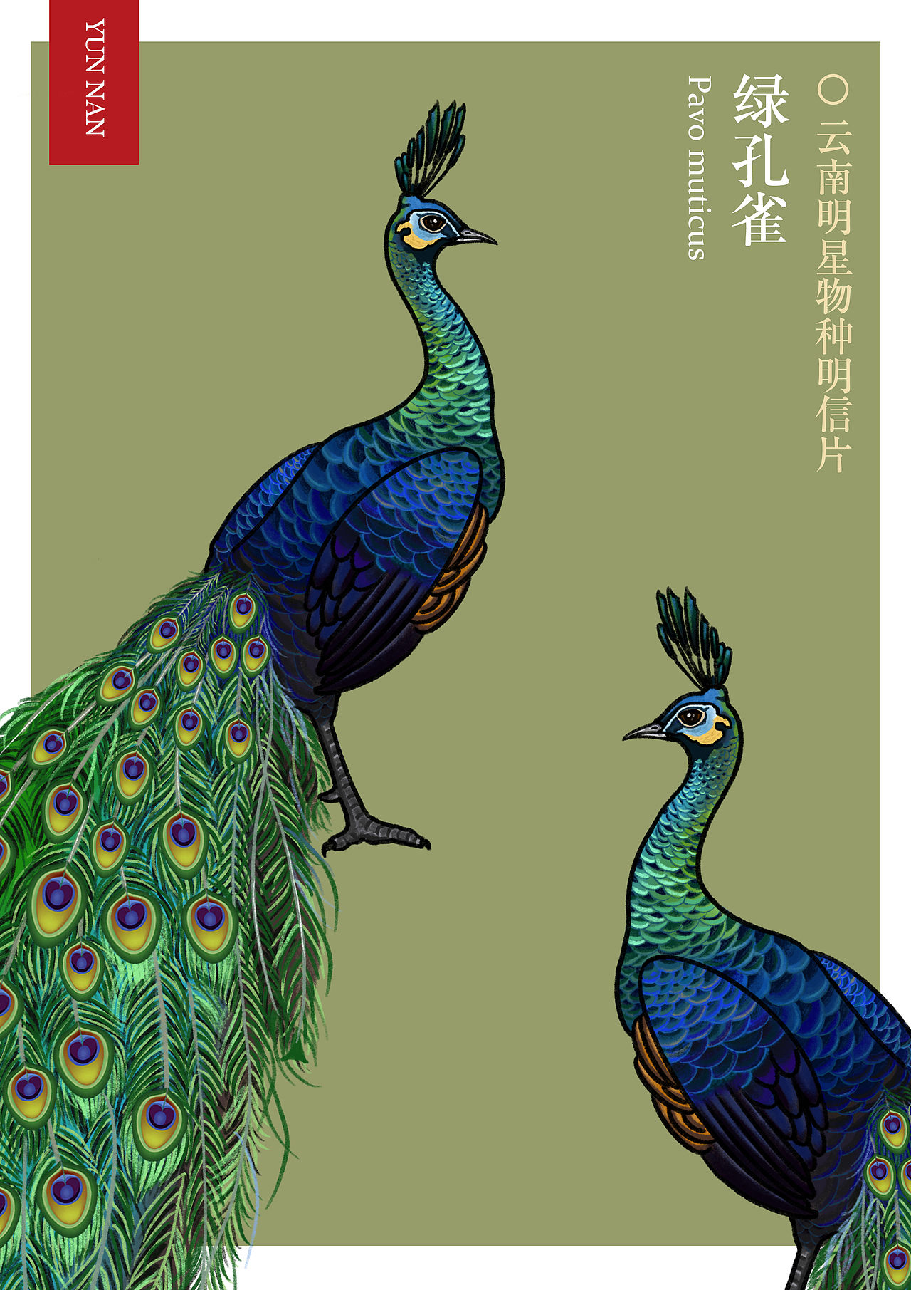 神奇动物在哪里（图ZMjczODA2ODk2） - 商业插画 - 站酷设计师沙子什么的原创素材 - 站酷ZCOOL