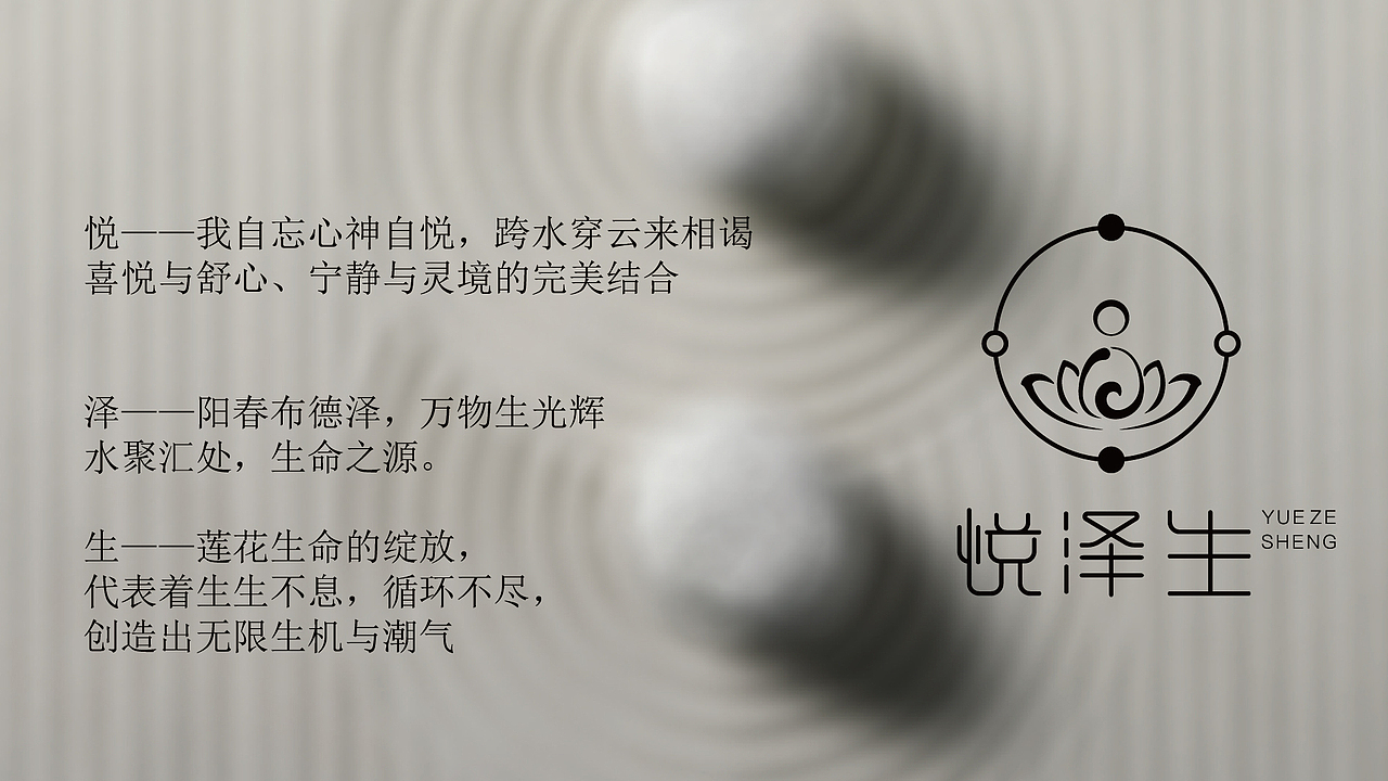 悦泽生品牌创作展示