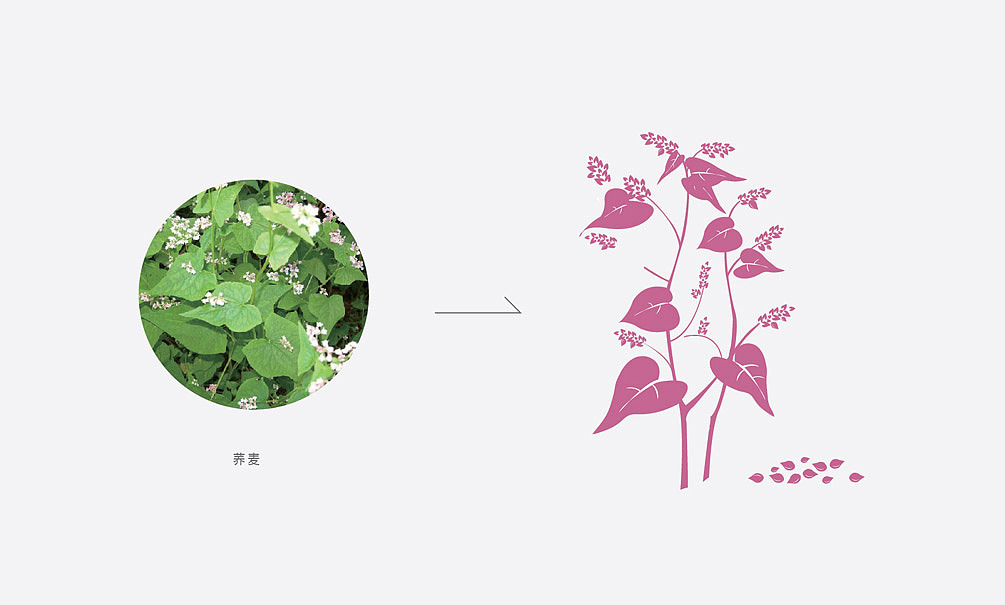 大和恒品牌产品包装设计