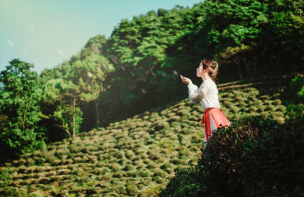 龙井（图ZMTYzNzg5NDM2） - 人像摄影 - 站酷设计师肆粗原创素材 - 站酷ZCOOL