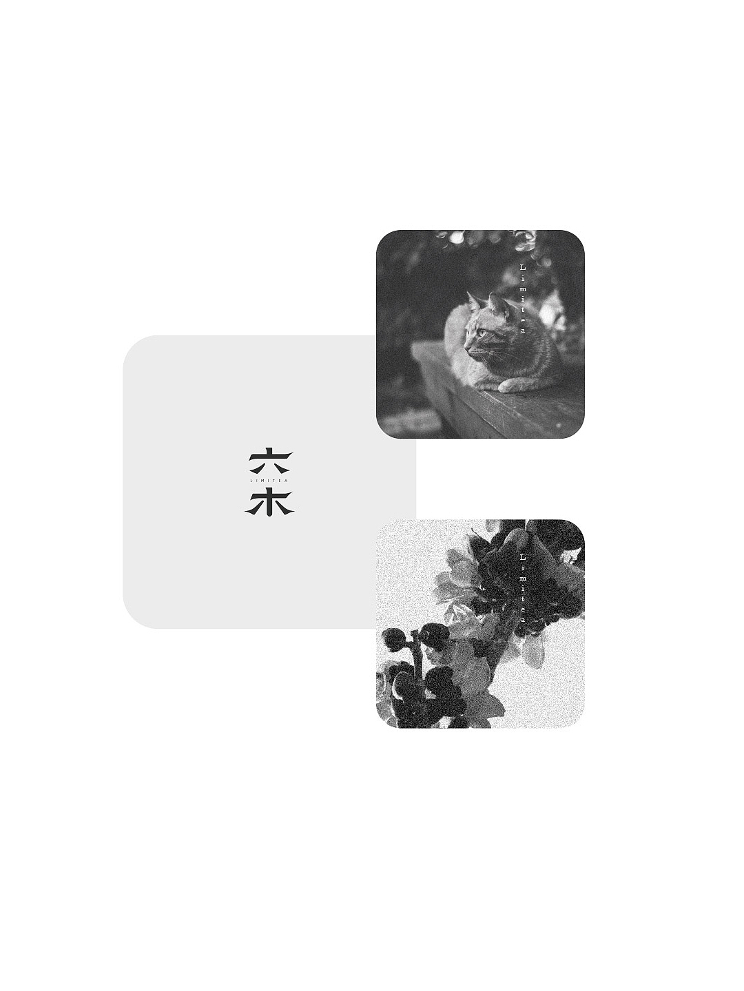 SDO studio / 2020 / 作品集（图ZMjc3NjEwNTE2） - 品牌 - 站酷设计师杨冬勇leoyang原创素材 - 站酷ZCOOL