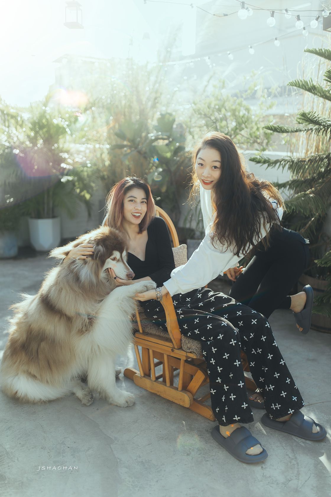 转阴后，晒太阳，大模带着她的🐶来看我（图ZMzI3NzYzMjQ0） - 人像摄影 - 站酷设计师蒋少寒原创素材 - 站酷ZCOOL