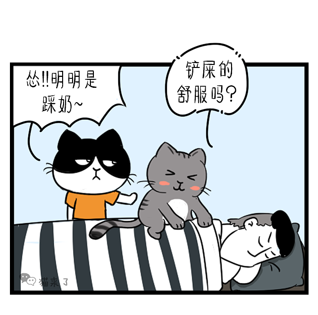 有志向的妹妹,很像丁丁