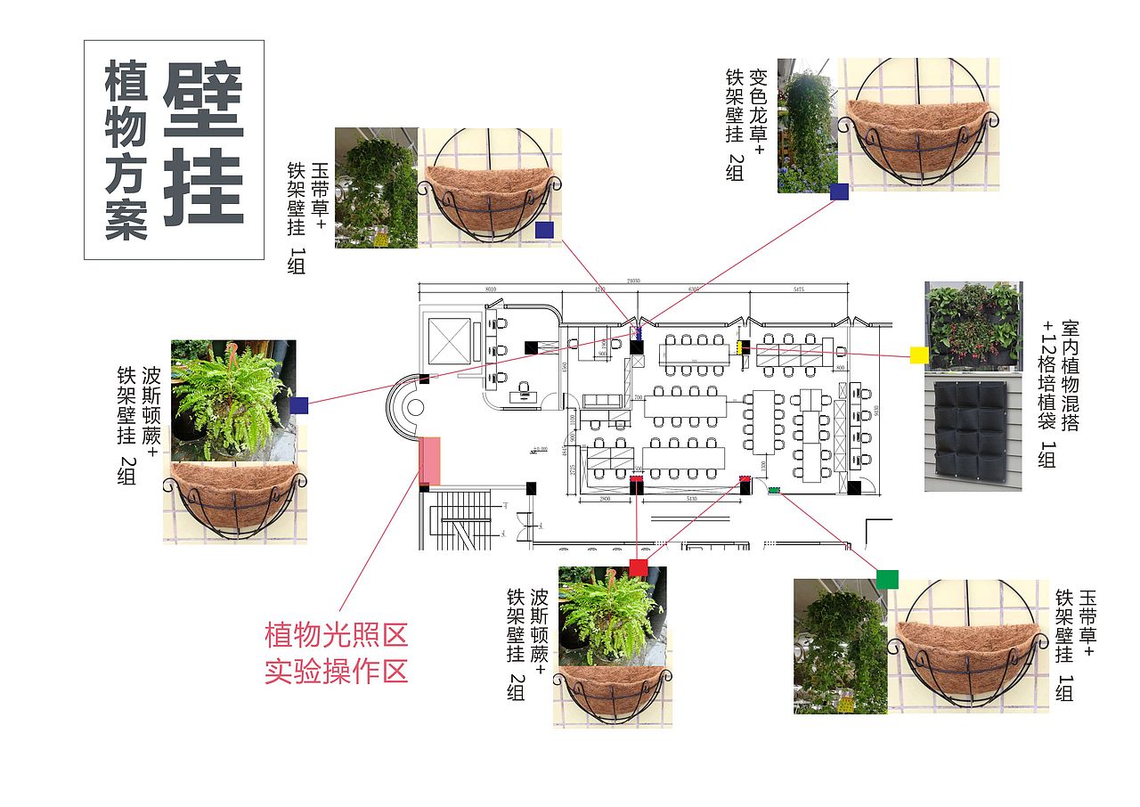 办公室室内绿化实验布置