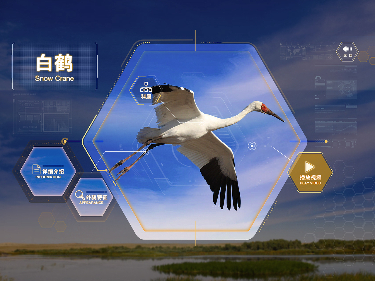 一组动物触摸屏展览（图ZMTQ0NDkyMzQ4） - 其他UI - 站酷设计师赵梓辰原创素材 - 站酷ZCOOL