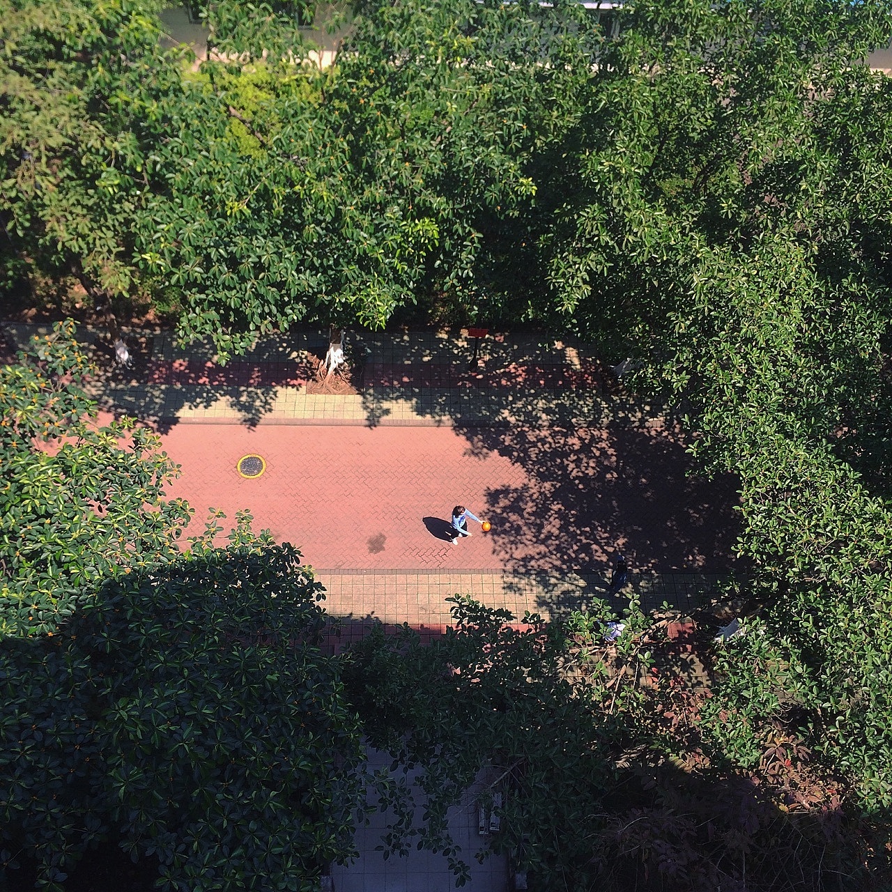 iPhone5s 摄（图ZMTg3MjU4NjUy） - 人文/纪实摄影 - 站酷设计师零一lemone原创素材 - 站酷ZCOOL