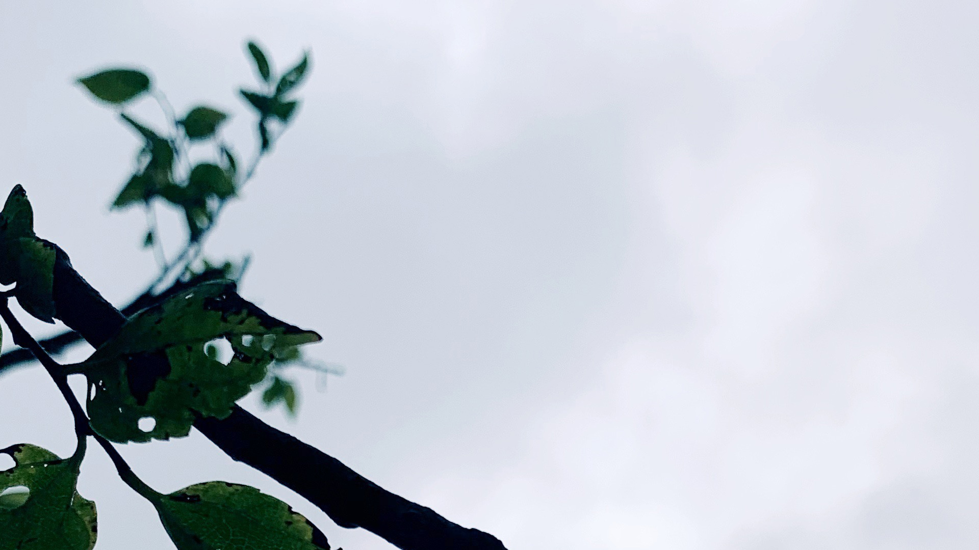 一勺抹茶醬的個(gè)人主頁（背景預(yù)覽） - 主頁背景設(shè)置 - 站酷設(shè)計(jì)師一勺抹茶醬原創(chuàng)素材 - 站酷ZCOOL