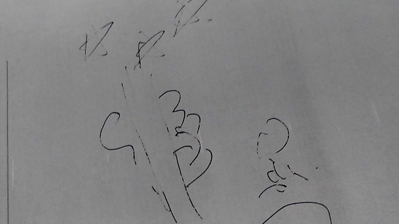 为婚礼前所作的小插画