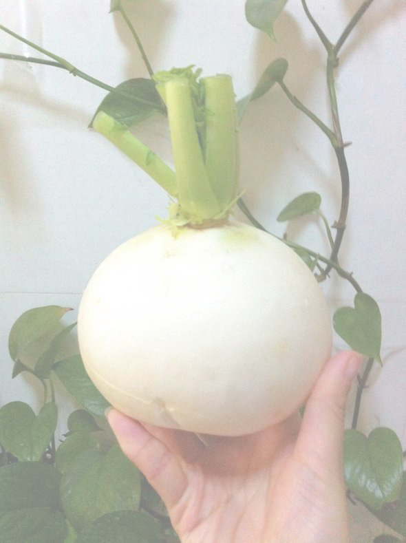 大萝卜007的个人主页（背景预览） - 主页背景设置 - 站酷设计师大萝卜007原创素材 - 站酷ZCOOL