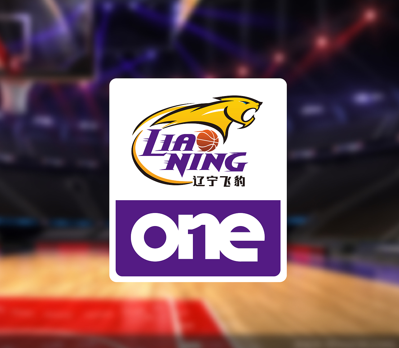 沈阳辽篮标志设计logo设计沈阳vi设计品牌设计