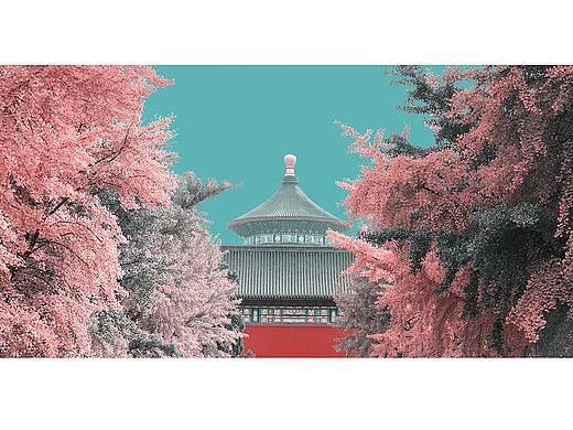 北京调色板