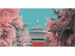 鲜花手绘