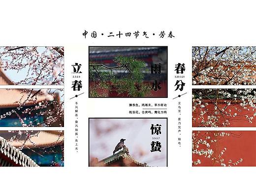 春天节气排版