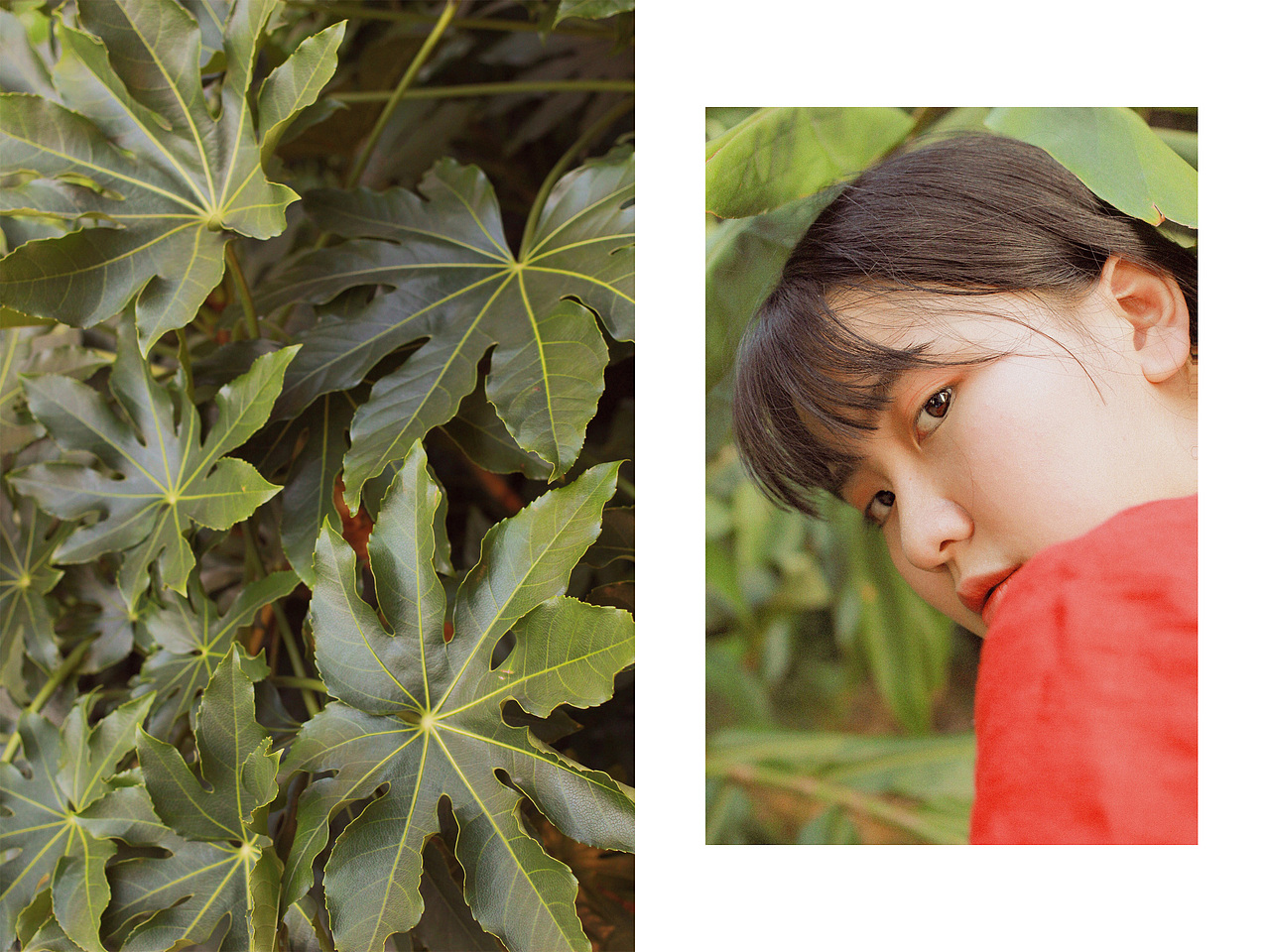 summer（图ZODYwNTUzOTI=） - 人像摄影 - 站酷设计师aperred原创素材 - 站酷ZCOOL