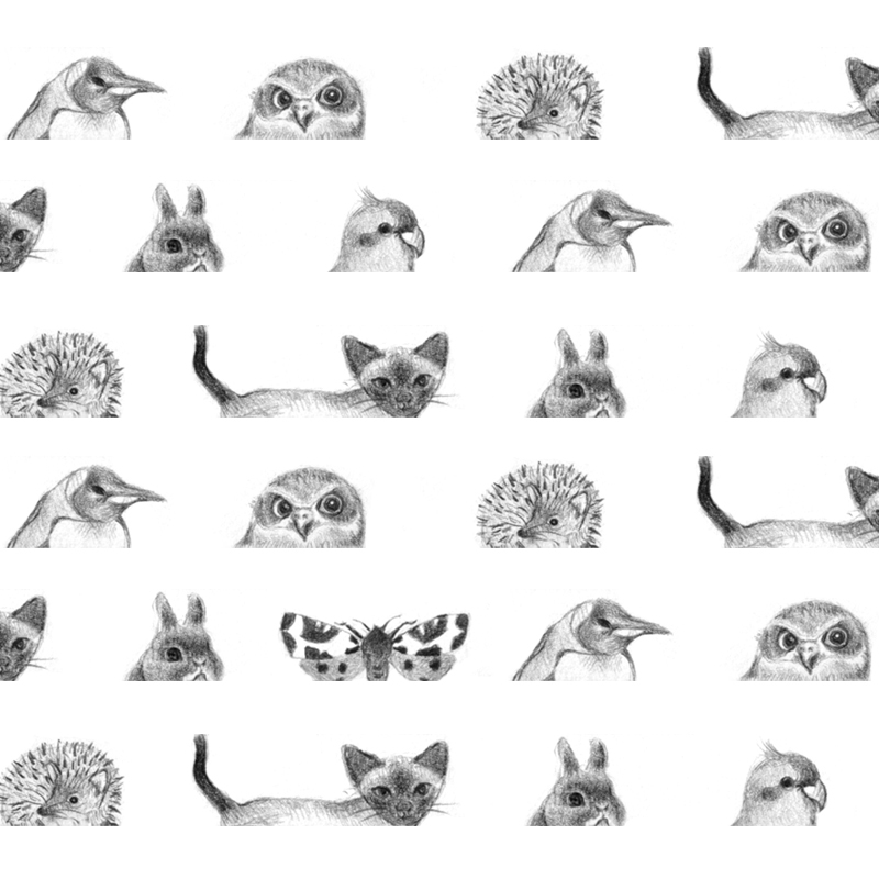 卑鄙的噗噗的個(gè)人主頁(yè)（背景預(yù)覽） - 主頁(yè)背景設(shè)置 - 站酷設(shè)計(jì)師卑鄙的噗噗原創(chuàng)素材 - 站酷ZCOOL