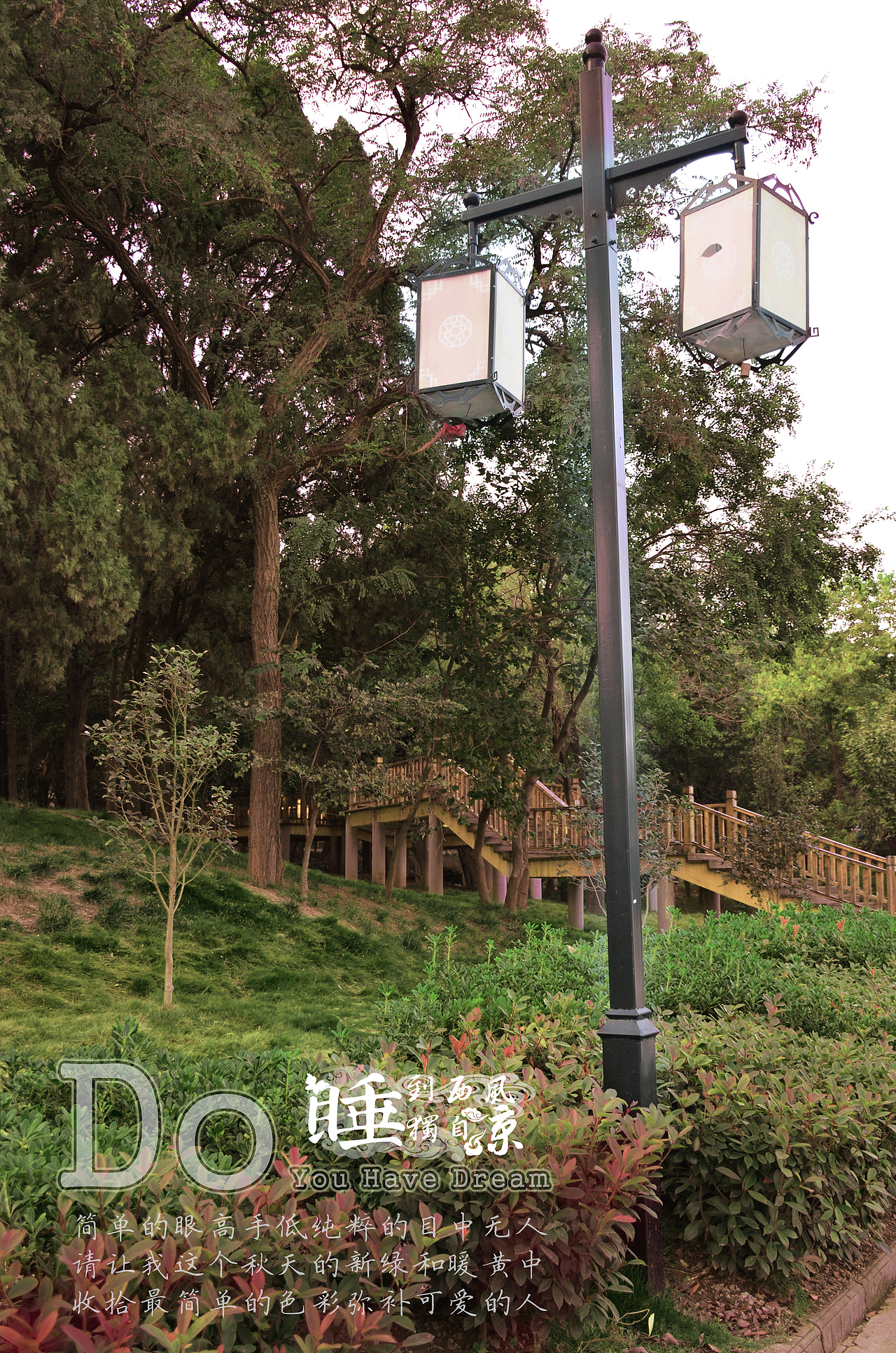 秋风里执着的绿色（图ZMjAzMzk1OTI=） - 风光摄影 - 站酷设计师赵青灯原创素材 - 站酷ZCOOL