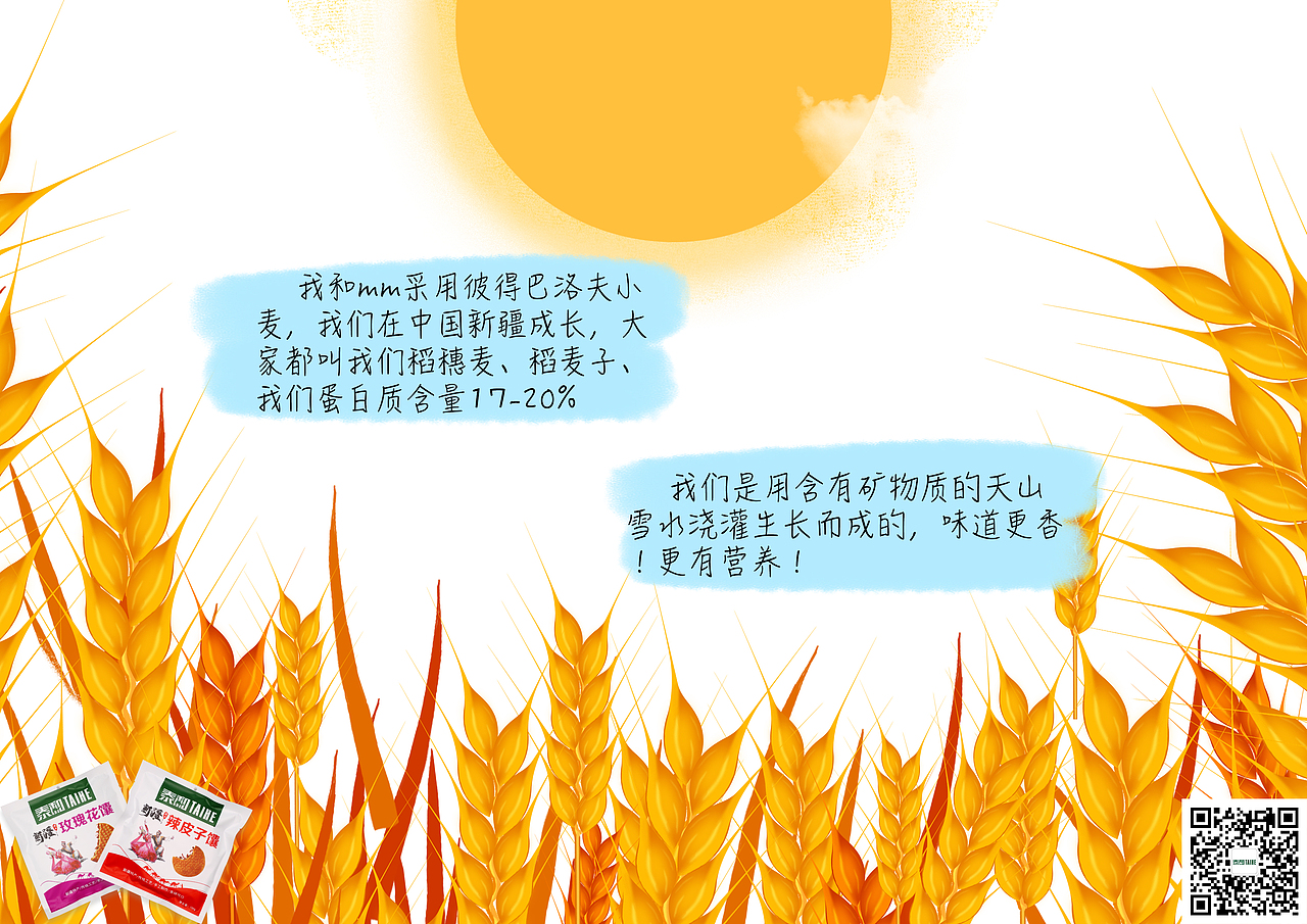 两个新疆馕的成长故事