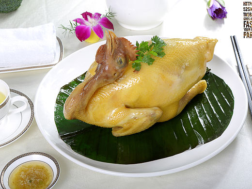中西餐饮菜品菜谱美食拍照菜单拍摄 农家乐山庄白云山酒店酒楼拍摄拍照广州摄影