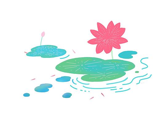 荷花矢量插画元素练习