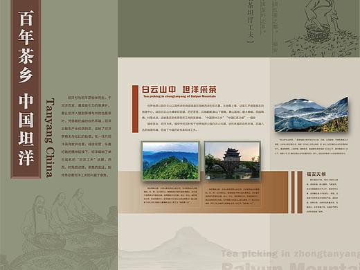 坦洋功夫茶展厅