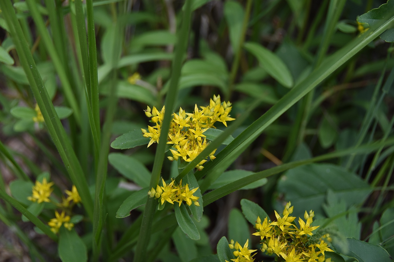 雾灵山 风光 山水（图ZNzQ0ODk5NjQ=） - 风光摄影 - 站酷设计师zslll原创素材 - 站酷ZCOOL