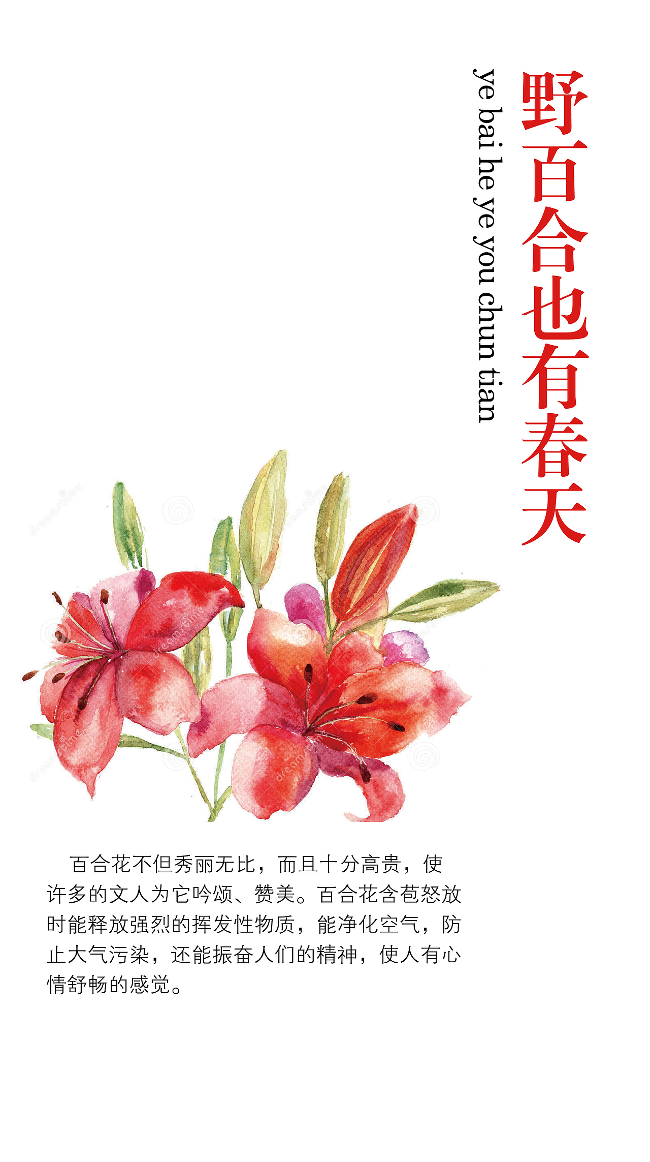 分享收藏小蜗樱花拿铁矩形造字笑出强大——totu突突兔标签百合花封面
