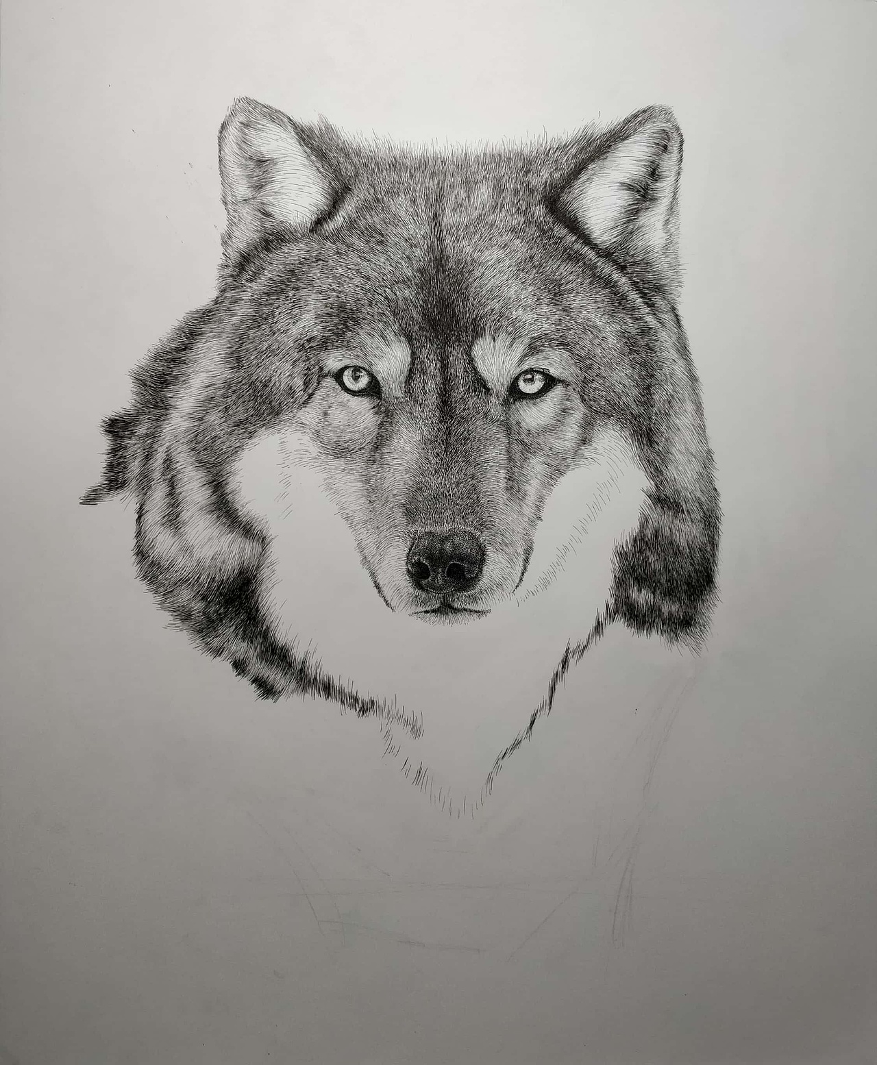 钢笔画（图ZOTk1NzIwOTI=） - 绘画 - 站酷设计师杨陶昰昱_ShiYu原创素材 - 站酷ZCOOL