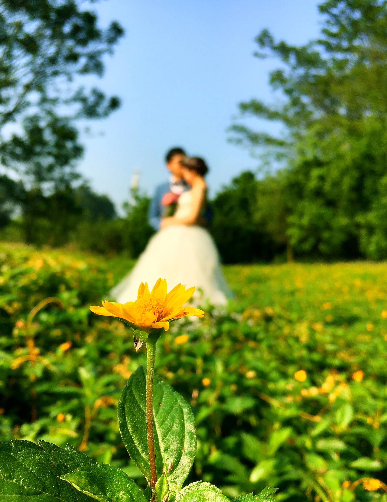 风景好美（图ZNjUzNjIyOTI=） - 人像摄影 - 站酷设计师何时光原创素材 - 站酷ZCOOL