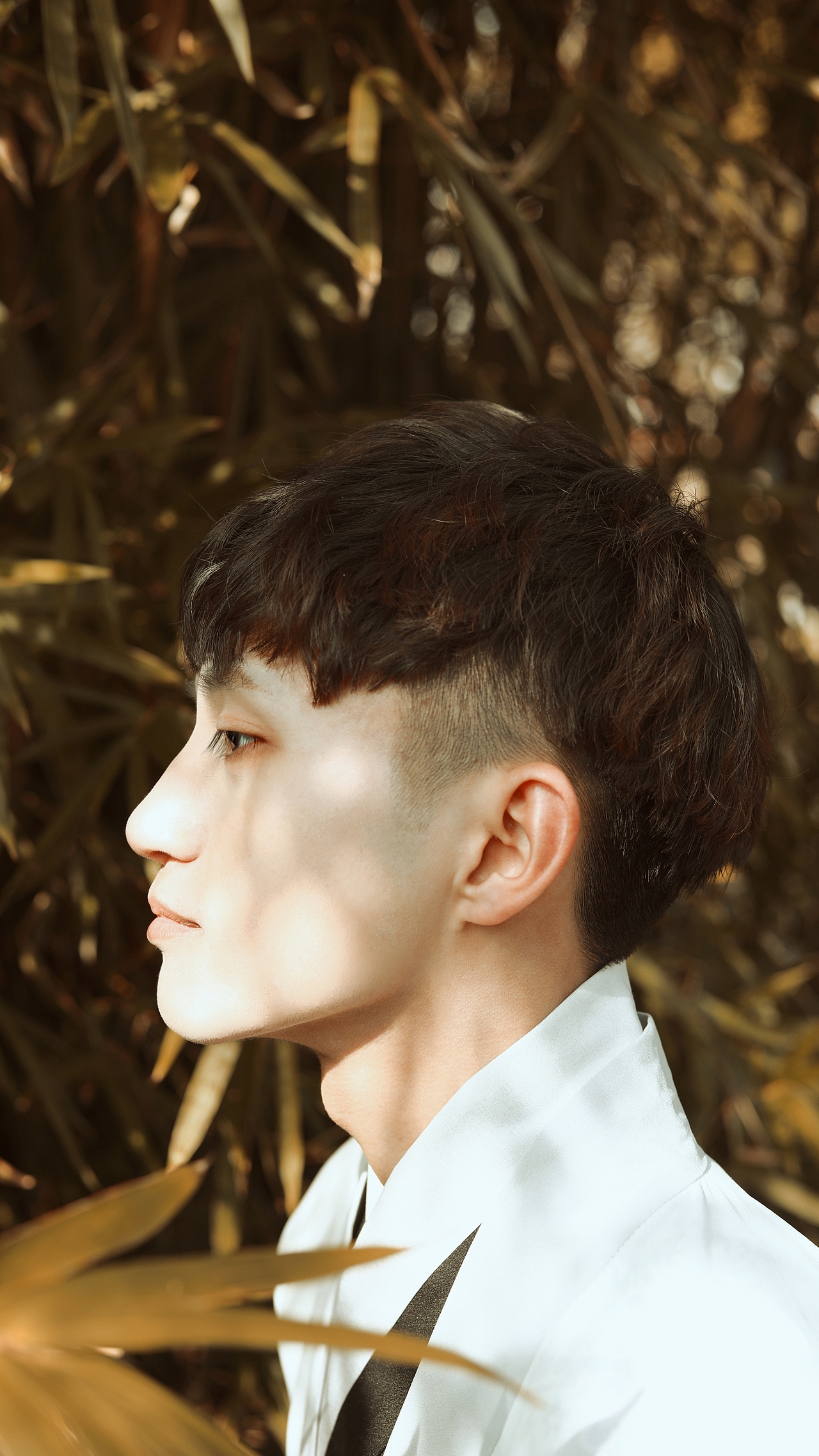 “秋风起兮白云飞，草木黄落兮雁南归”（图ZMTg1NTMwNzQw） - 人像摄影 - 站酷设计师笥方风霖原创素材 - 站酷ZCOOL