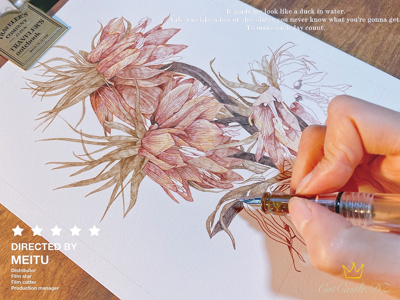 神奇的皇冠贝母（蘸水笔｜针管笔）（图ZMjg1NTYwOTU2） - 艺术插画 - 站酷设计师CatCastleDZ原创素材 - 站酷ZCOOL