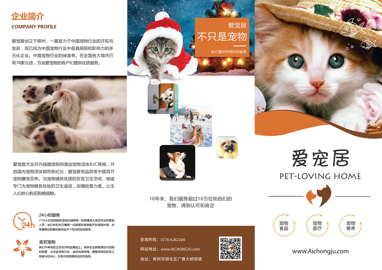 宠物三折页 - 原创作品 - 站酷(zcool)