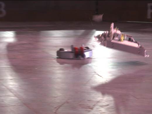 金鱼族长 战队包装1