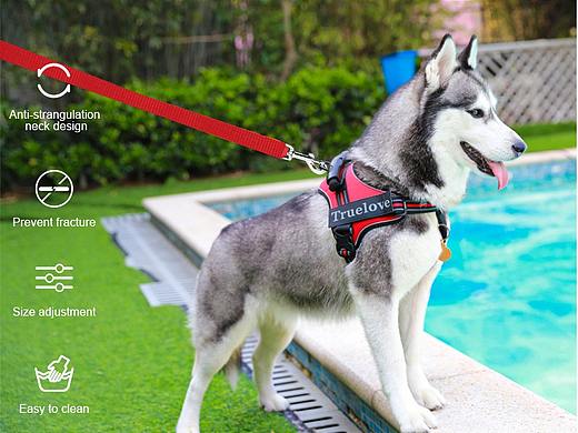 狗绳牵引绳（个人主页-ZNTM0MTA1MzY=） - 电商 - 站酷设计师Walker珩原创素材 - 站酷ZCOOL