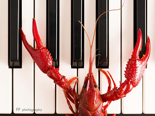 小龙虾的异想世界