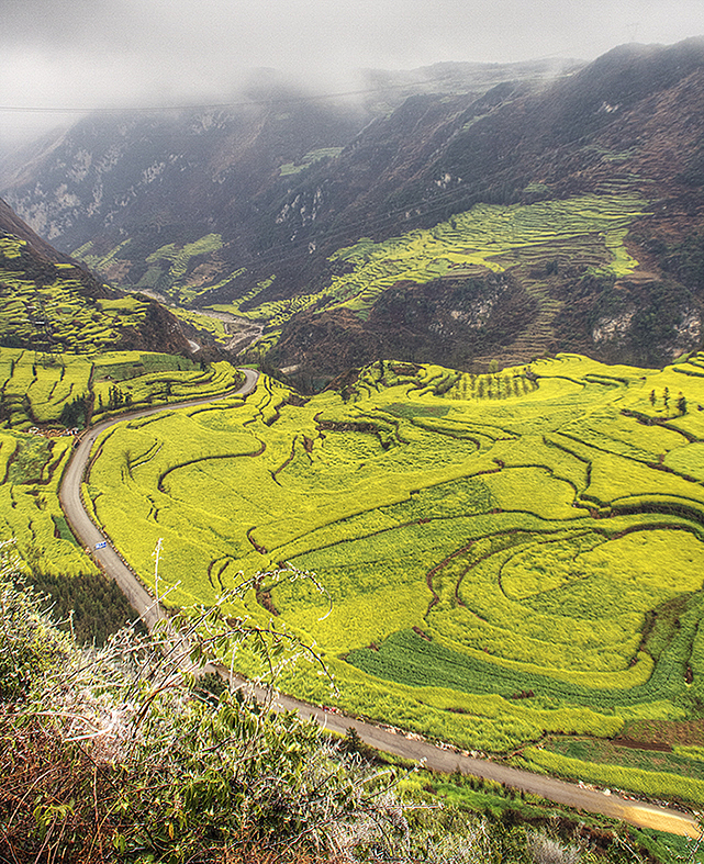 云南-罗平油菜花（图ZMTQxMzE0MDA=） - 风光摄影 - 站酷设计师RyanShao原创素材 - 站酷ZCOOL