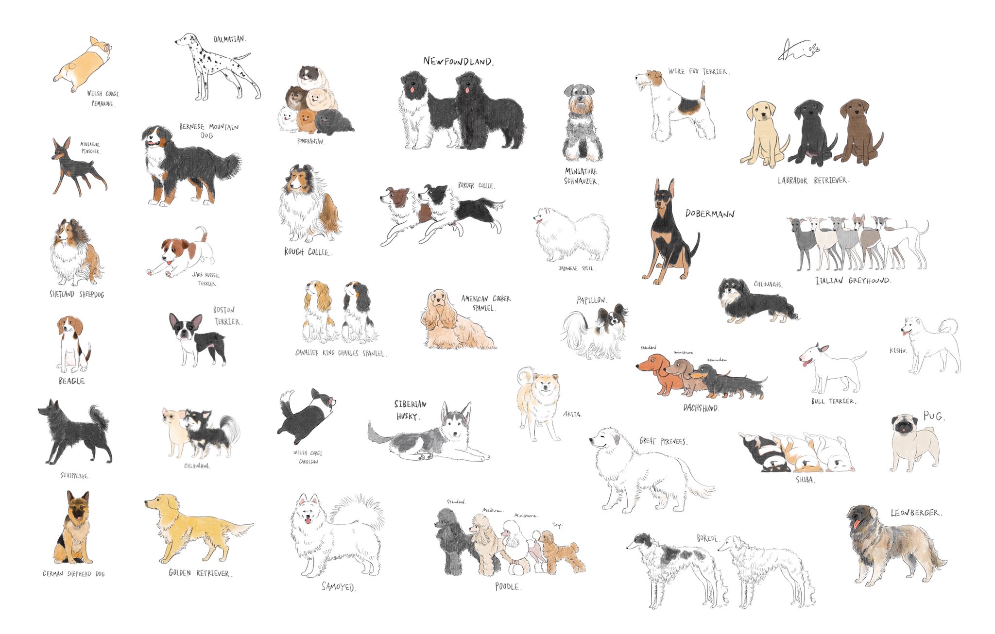 七七七七七七七鱼的个人主页（封面预览） - 主页封面设置 - 站酷设计师七七七七七七七鱼原创素材 - 站酷ZCOOL