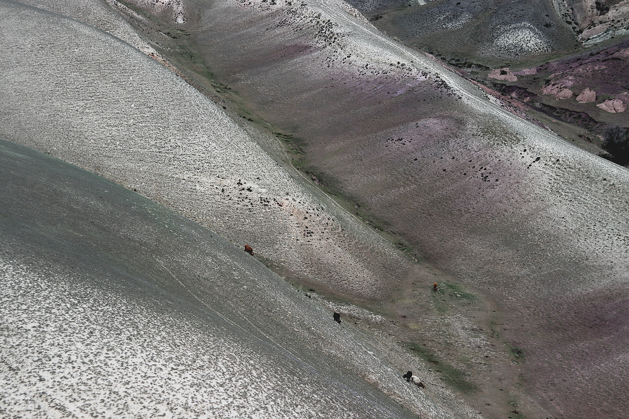 乌鲁木齐 — 伊利 (越过荒漠和田野)