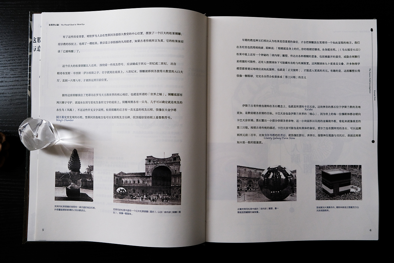 「松果启示录」书籍装帧设计 | 节选自《源场》（图ZMjQ3NDU5Nzg4） - 书籍/画册 - 站酷设计师龍柏原创素材 - 站酷ZCOOL