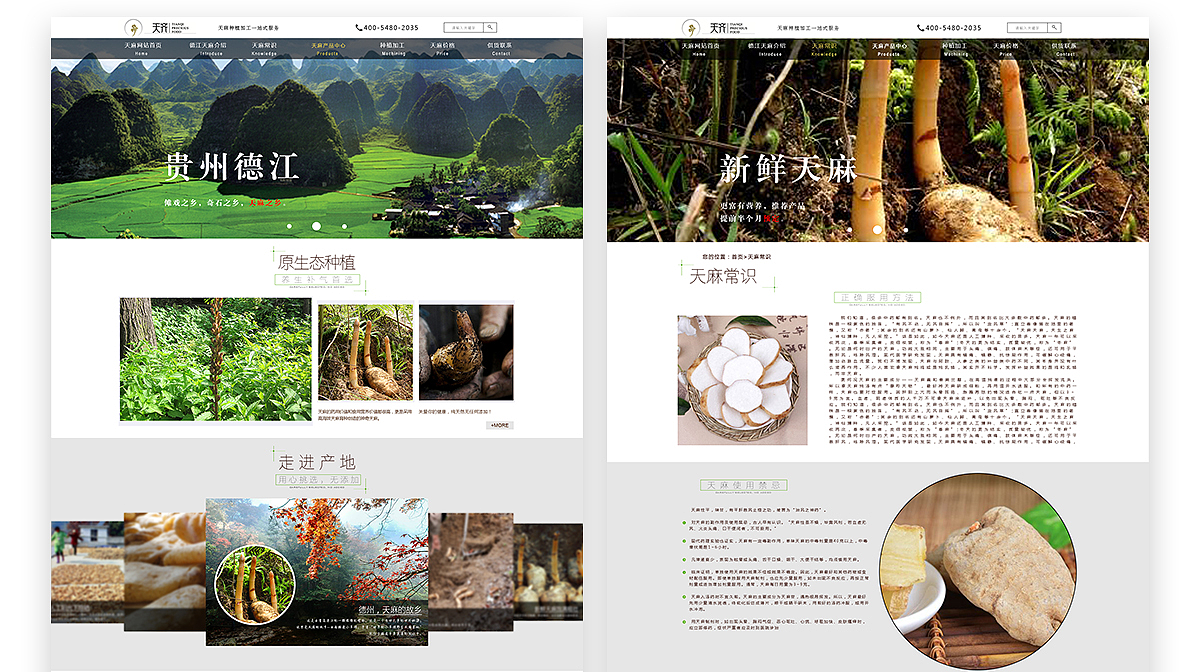 个人简历（图ZOTY5NzYyMjQ=） - 宣传物料 - 站酷设计师大狗子我们走原创素材 - 站酷ZCOOL