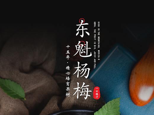 水果杨梅详情页