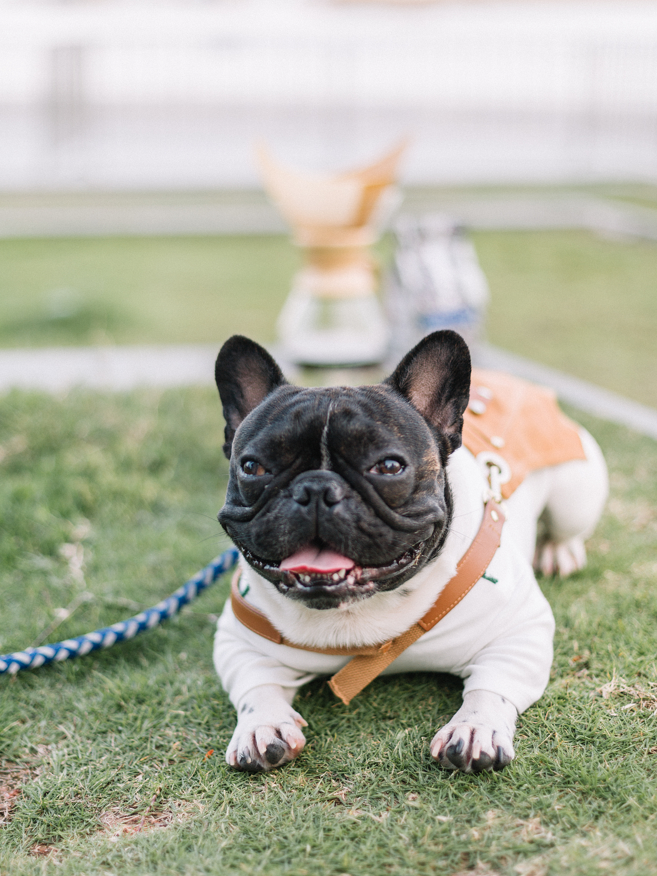 MORSECOFFEE莫思咖啡|淘宝产品拍摄