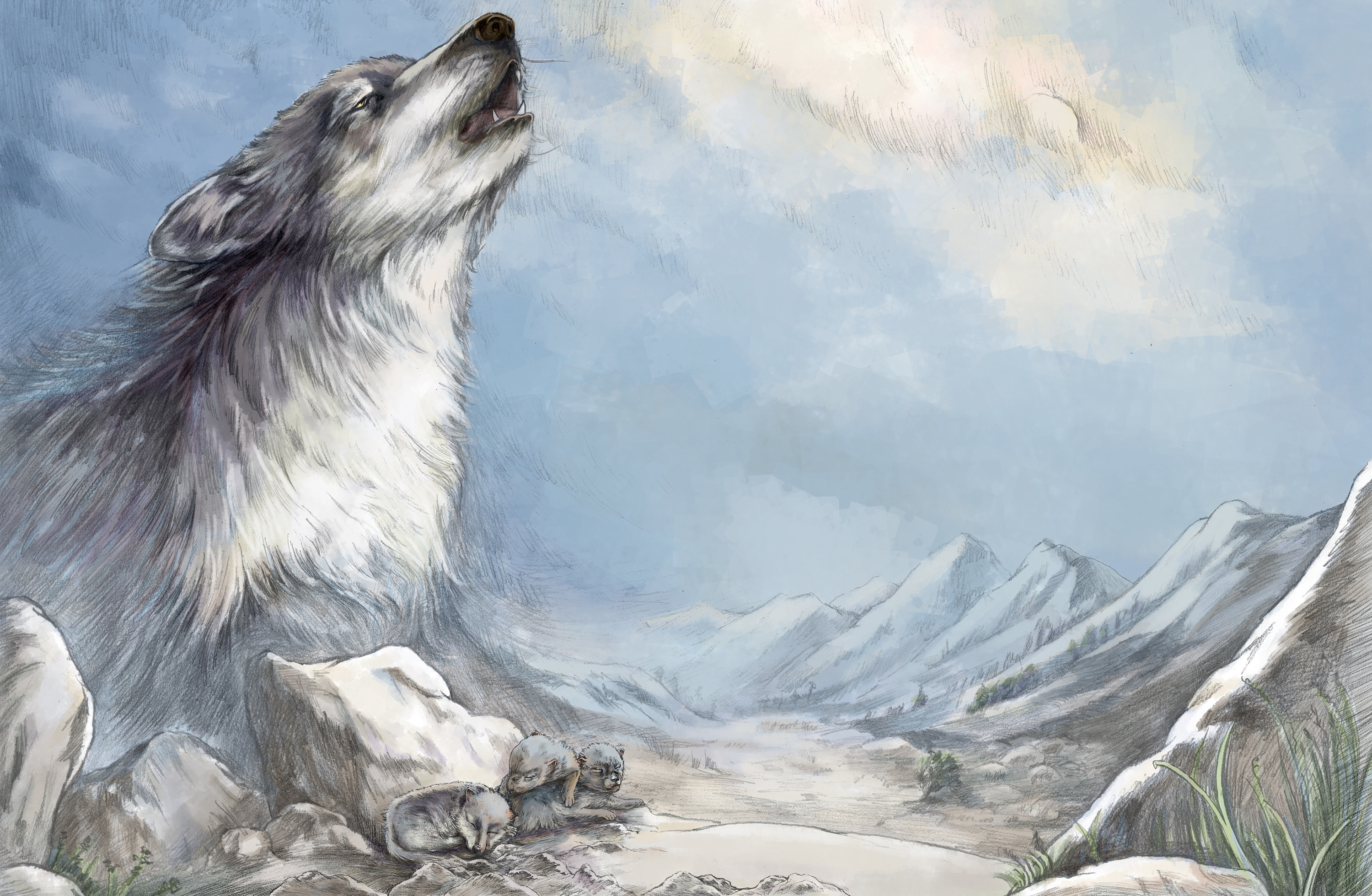 自然野兽动物雪白色的狼手绘插画图片-千库网