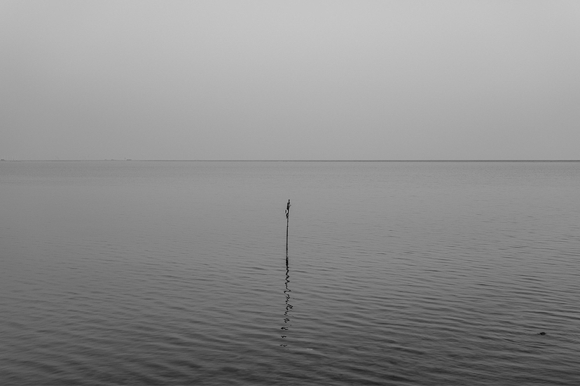 上海崇明碧海金沙（图ZMzYxMDYzNjE2） - 人文/纪实摄影 - 站酷设计师Chris_Photograph原创素材 - 站酷ZCOOL