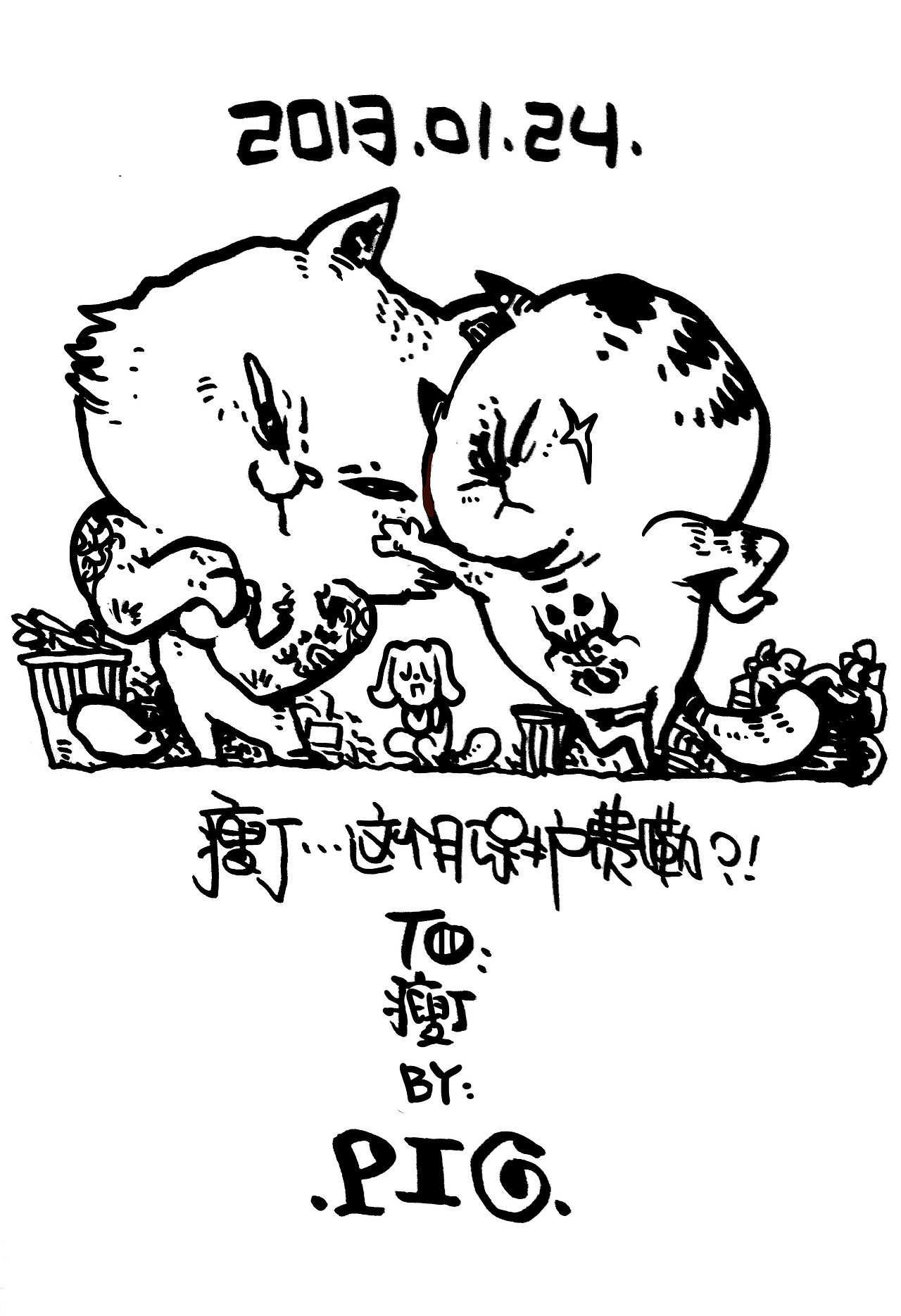 我的猫咪生活