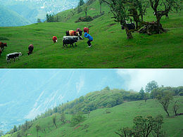 本以為新疆就很美了！直到去了成都周邊…