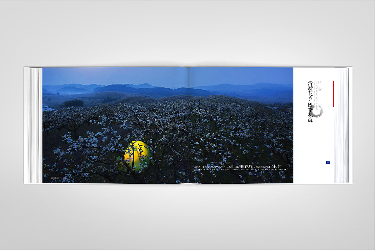 清新花香·福源建宁-精装画册-源艺设计