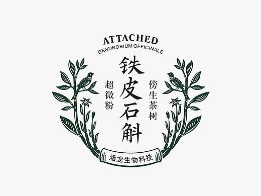 傍生铁皮石斛