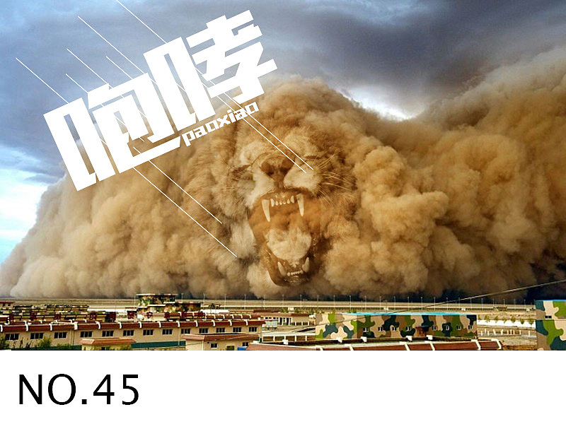 咆哮 沙尘|平面|海报|莘道设计 - 原创作品 - 站酷 (zcool)