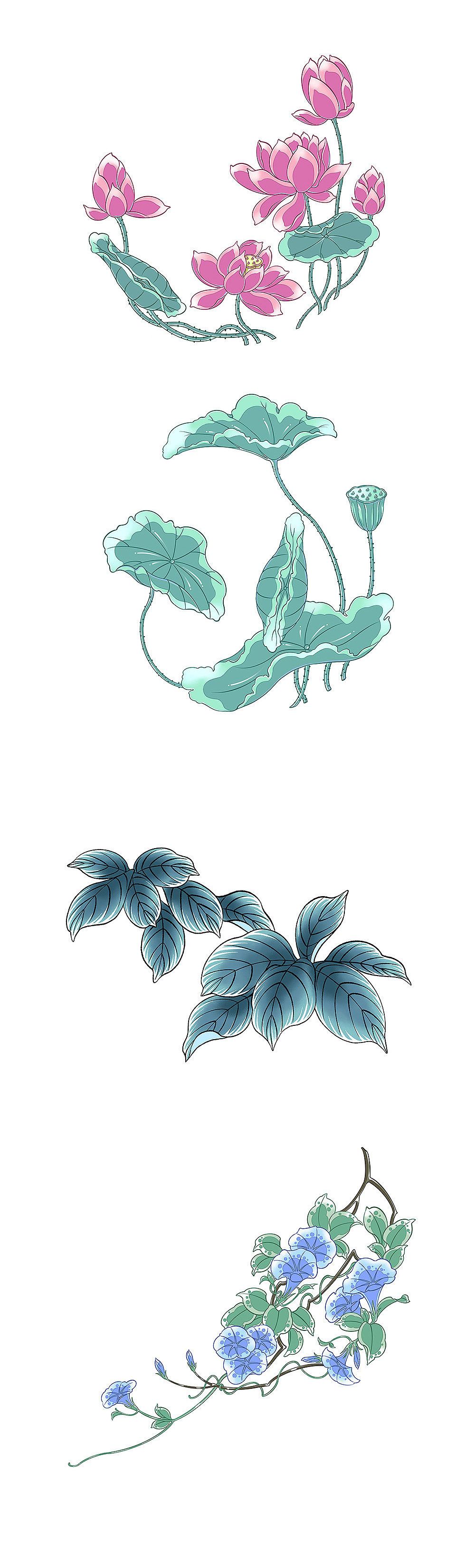 植物插画集（图ZMTk5MDY0NTI0） - 商业插画 - 站酷设计师四月啾啾原创素材 - 站酷ZCOOL