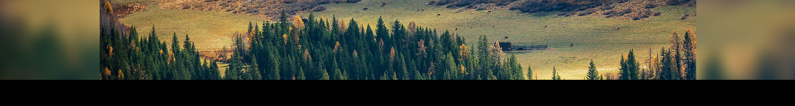 weisong007的個(gè)人主頁(yè)（封面預(yù)覽） - 主頁(yè)封面設(shè)置 - 站酷設(shè)計(jì)師weisong007原創(chuàng)素材 - 站酷ZCOOL